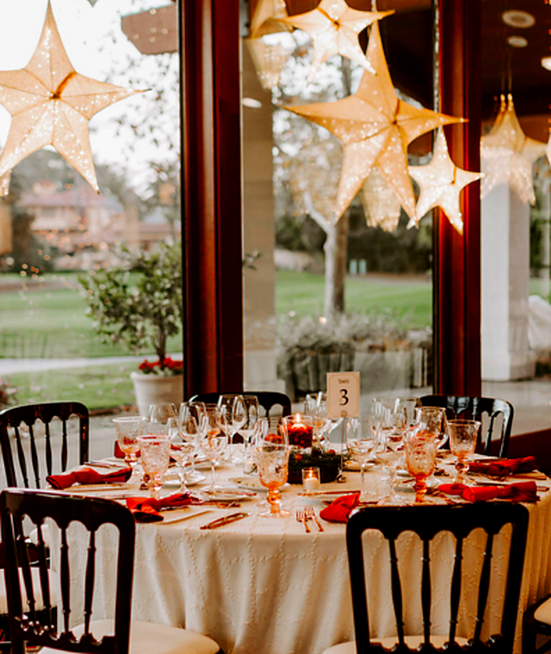 Holiday Member Party